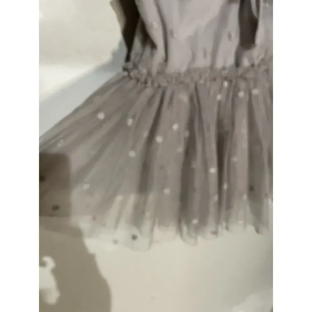 Noralee Poppy Dress Storm Gray Tulle Baby Girl‎ 4t Formal Feathers Party